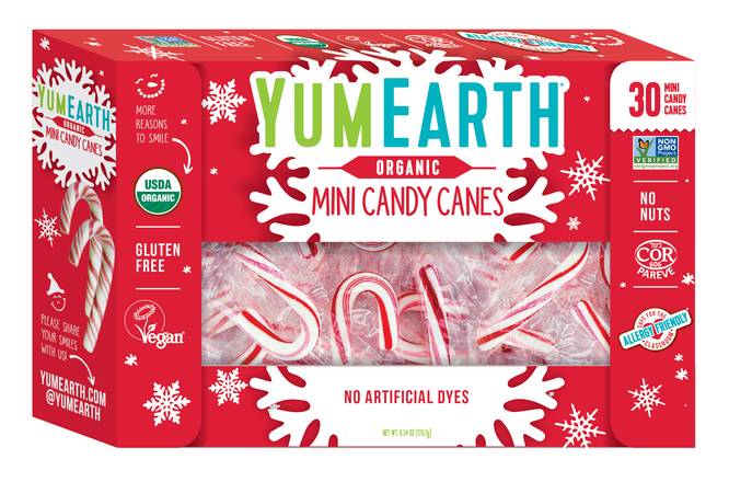 Order YumEarth Mini Candy Canes - 30 ct food online from Rite Aid store, LEHIGHTON on bringmethat.com