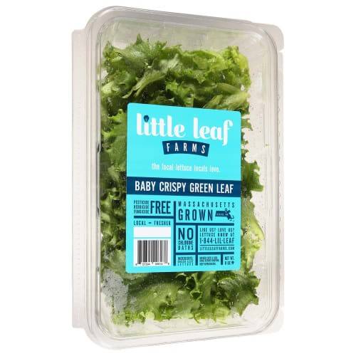 Order Little Leaf · Crispy Green Leaf Lettuce (8 oz) food online from Shaw's store, Wareham on bringmethat.com