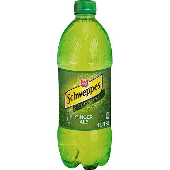 Order 20oz Ginger Ale food online from Nonna Rosa store, West Norriton on bringmethat.com