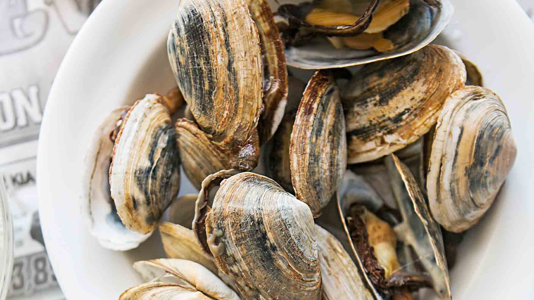 Order Clams food online from The Twisted Crab store, Hampton on bringmethat.com