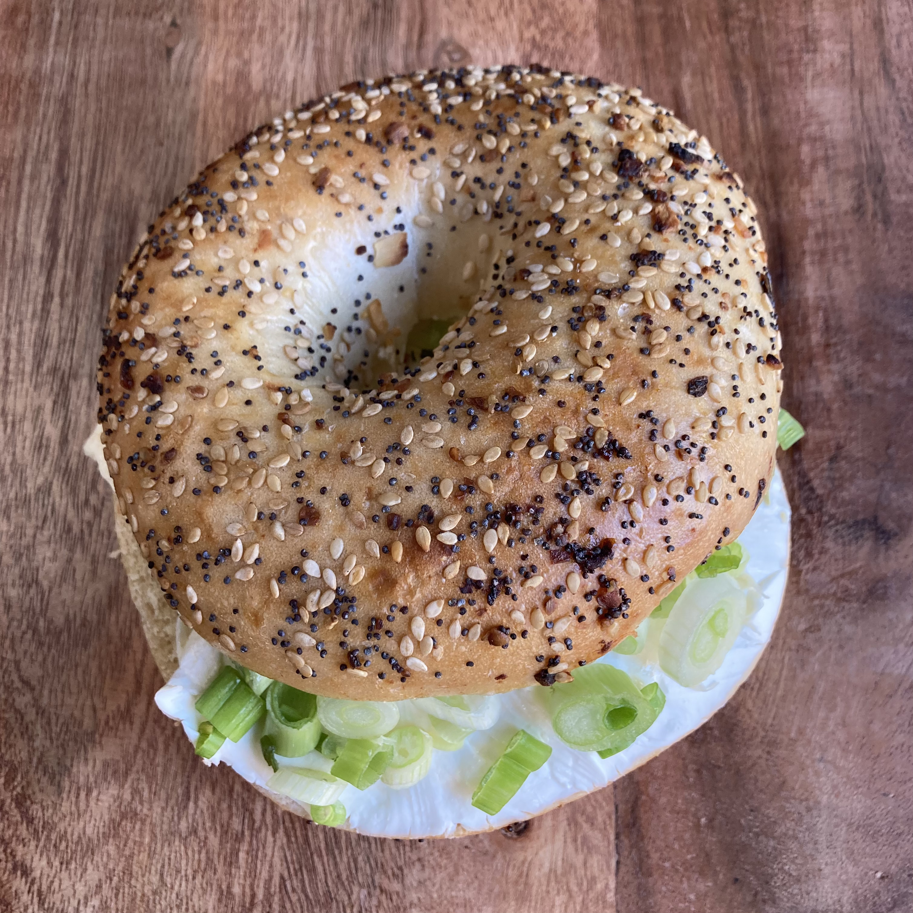 Order Scallion Bagel   food online from B Cup Cafe store, New York on bringmethat.com