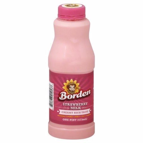 Order Borden Strawberry Milk 1 Pint food online from 7-Eleven store, Loxahatchee on bringmethat.com