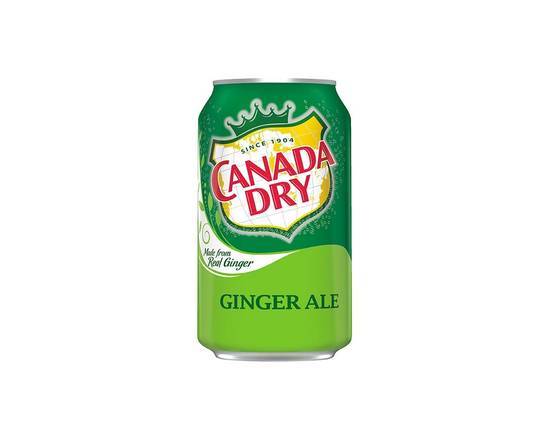 Order Ginger Ale Can food online from The Shawarma Eats store, Cranford on bringmethat.com