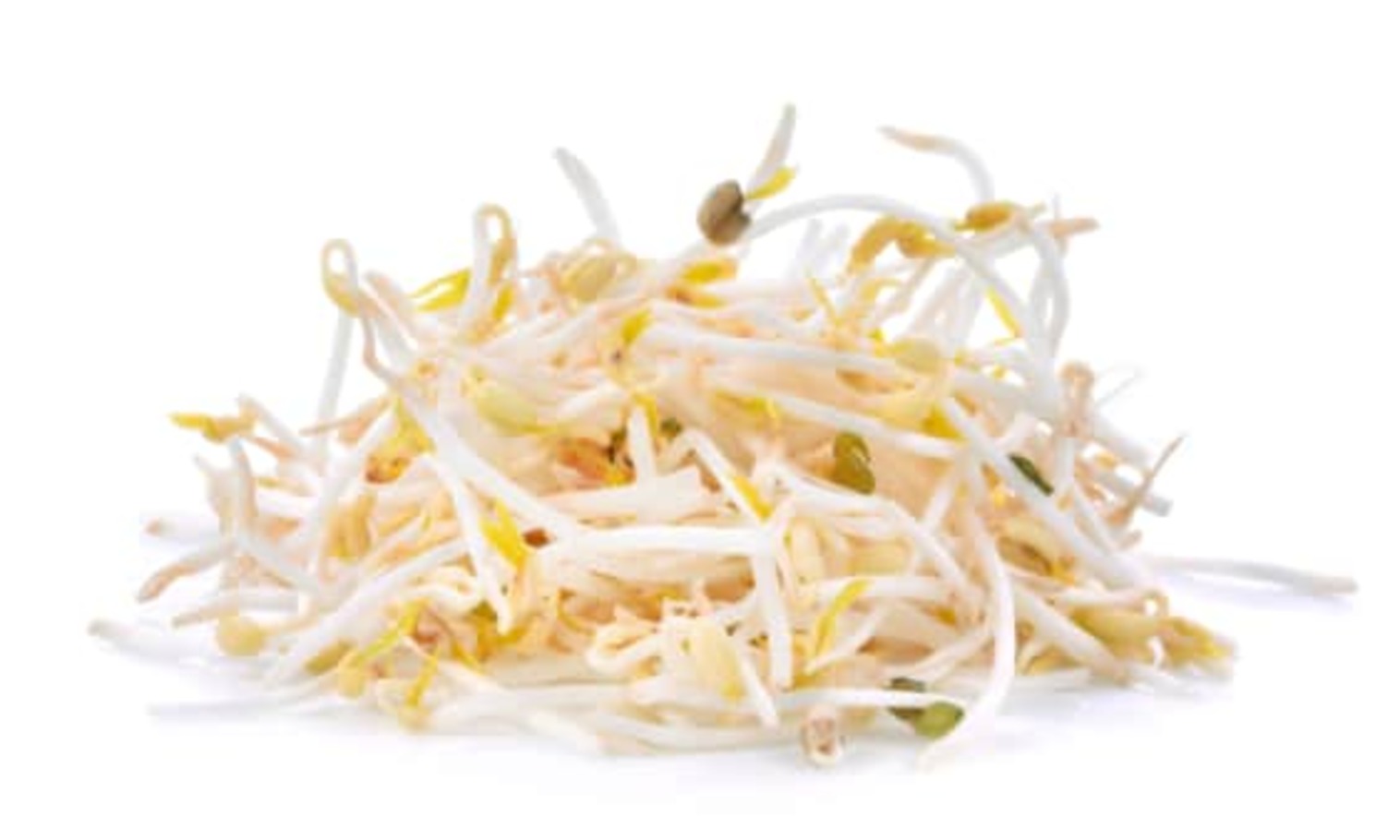 Order Bean Sprouts. food online from Ramen Vs Pho store, Fresno on bringmethat.com