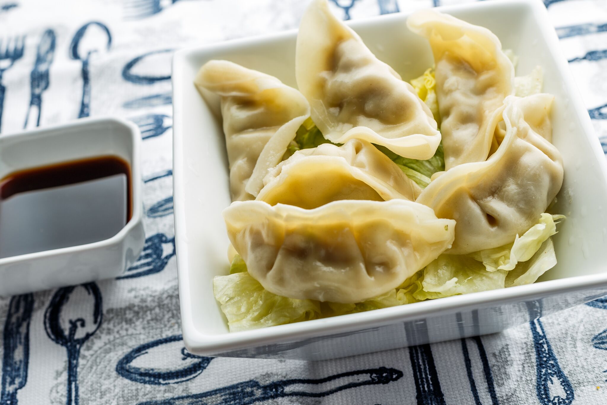 Order Steamed Gyoza food online from Oec Japanese Express store, Madison on bringmethat.com