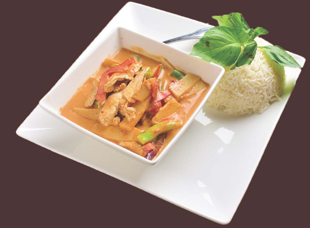 Order Red Curry with Coconut Milk food online from Pho Thai store, New Haven on bringmethat.com