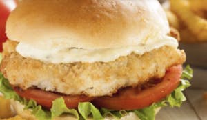 Order Spicy  Chicken Burger food online from Efes Pizza store, Pittsburgh on bringmethat.com
