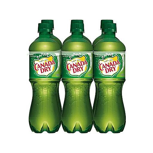 Order Canada Dry Ginger Ale (6PK 500 ML) 105187 food online from Bevmo! store, Albany on bringmethat.com