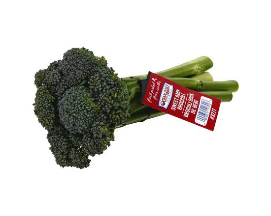 Order Ocean Mist Farms · Sweet Baby Broccoli (1 broccoli) food online from Safeway store, Mount Airy on bringmethat.com