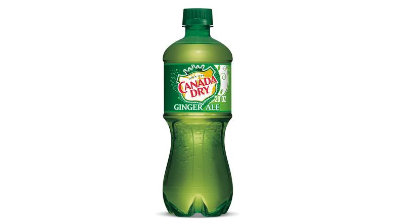 Order Canada Dry Ginger Ale Sod food online from Red Roof Market store, Lafollette on bringmethat.com