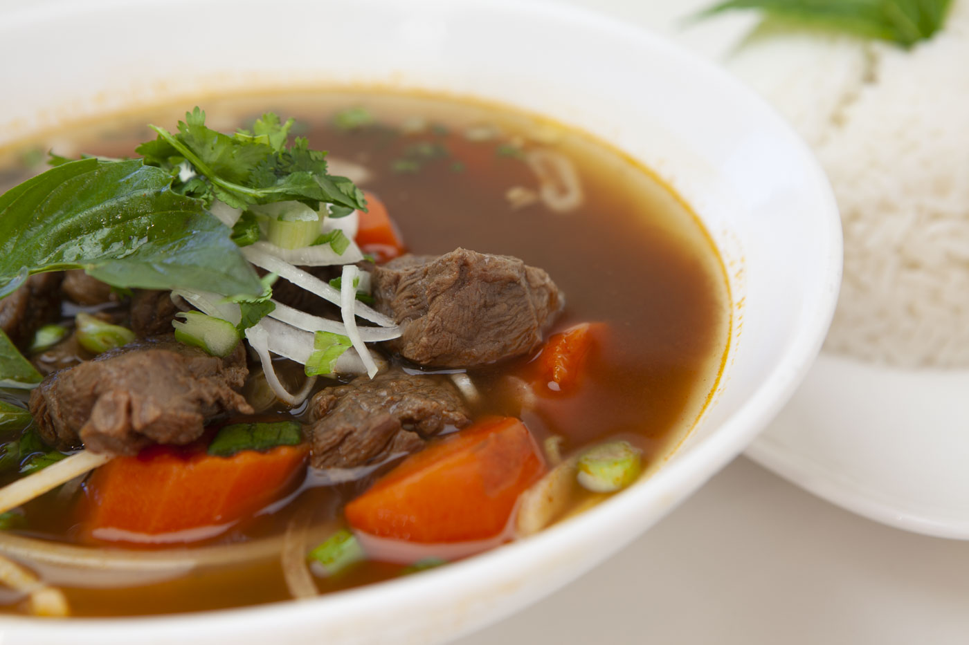 Order Vietnamese Beef Stew food online from Big Bites Vietnamese Eatery store, Mountain View on bringmethat.com
