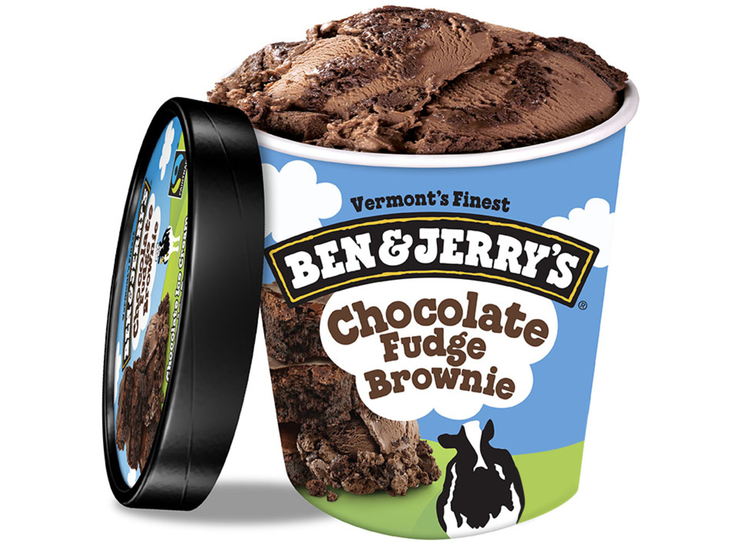 Order Ben & Jerry's Chocolate Fudge Brownie Ice Cream Pint food online from Papa Gino store, Saugus on bringmethat.com