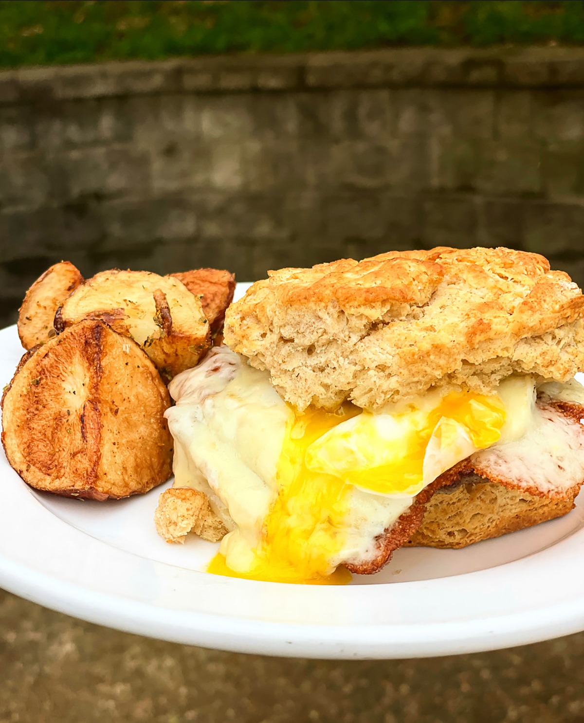 Order Biscuit and Egg Sandwich food online from Cafe Berlin store, Columbia on bringmethat.com