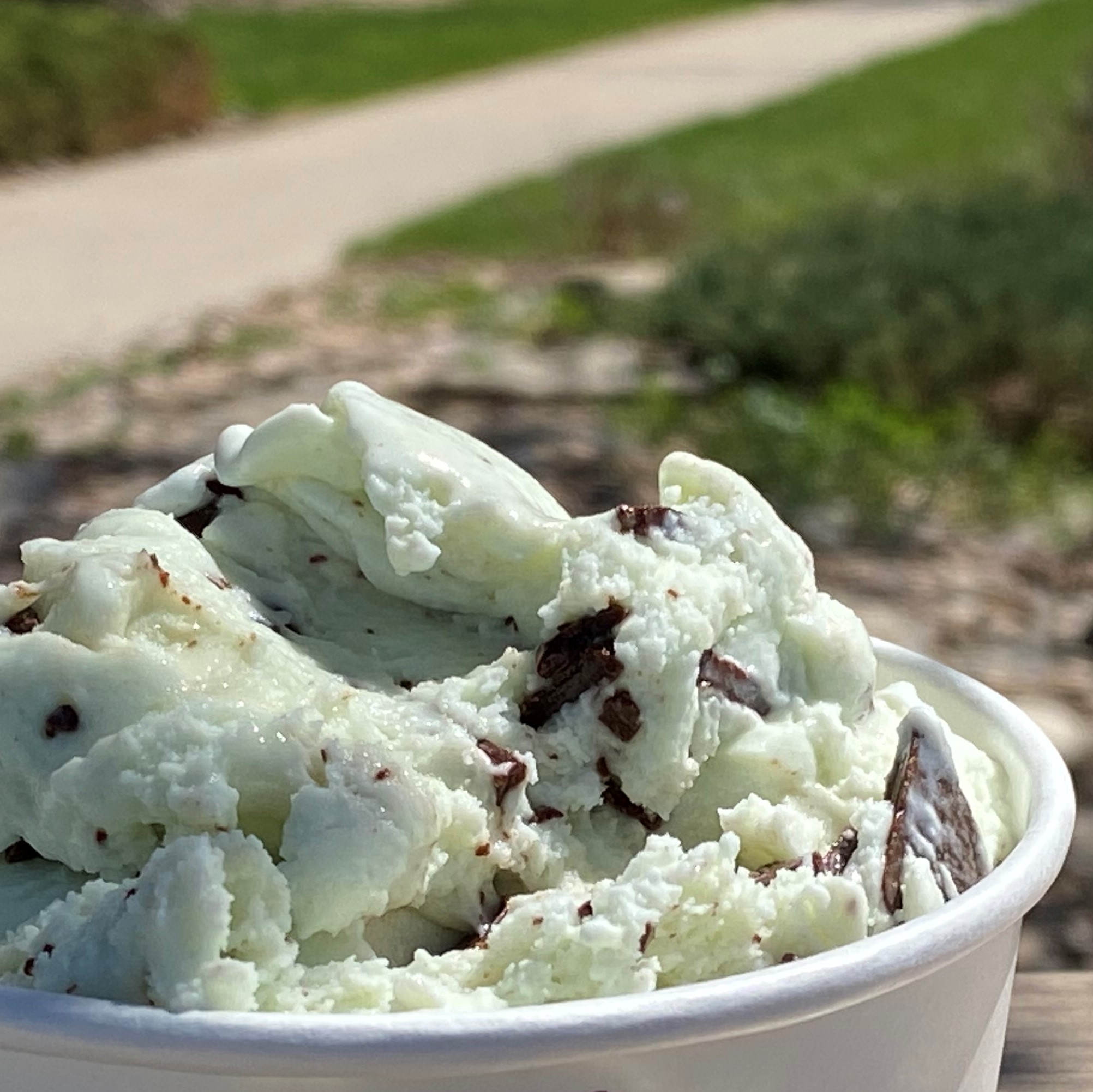 Order Mint Chocolate Chip Ice Cream food online from Glacier Homemade Ice Cream store, Boulder on bringmethat.com