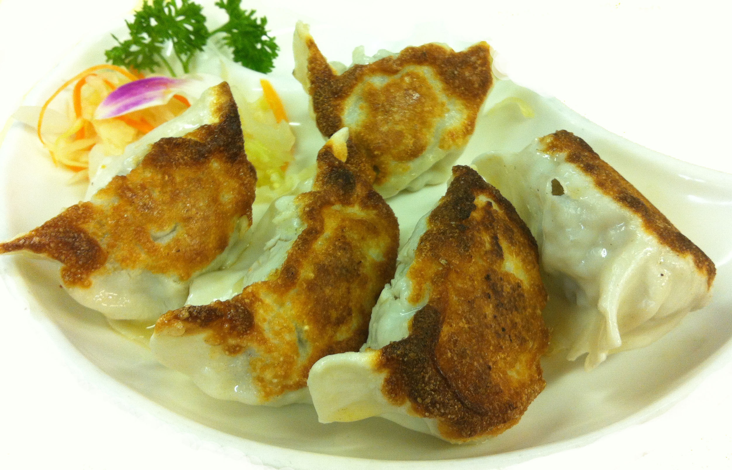 Order Pork Dumpling 肉饺 food online from Chengdu 23 store, Wayne on bringmethat.com