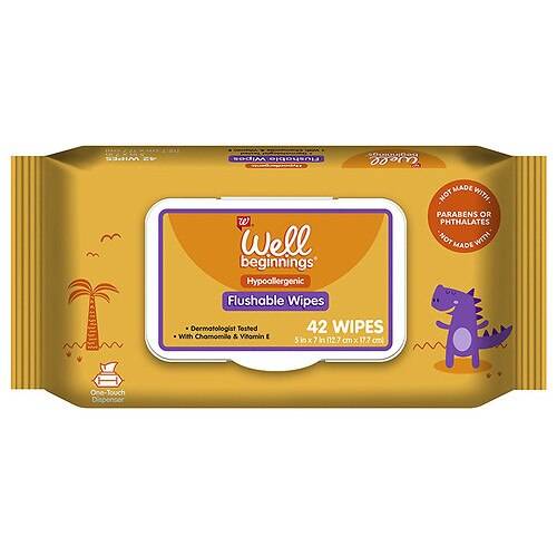 Order Well Beginnings Flushable Toddler Wipes - 42.0 ea food online from Walgreens store, North Huntingdon on bringmethat.com