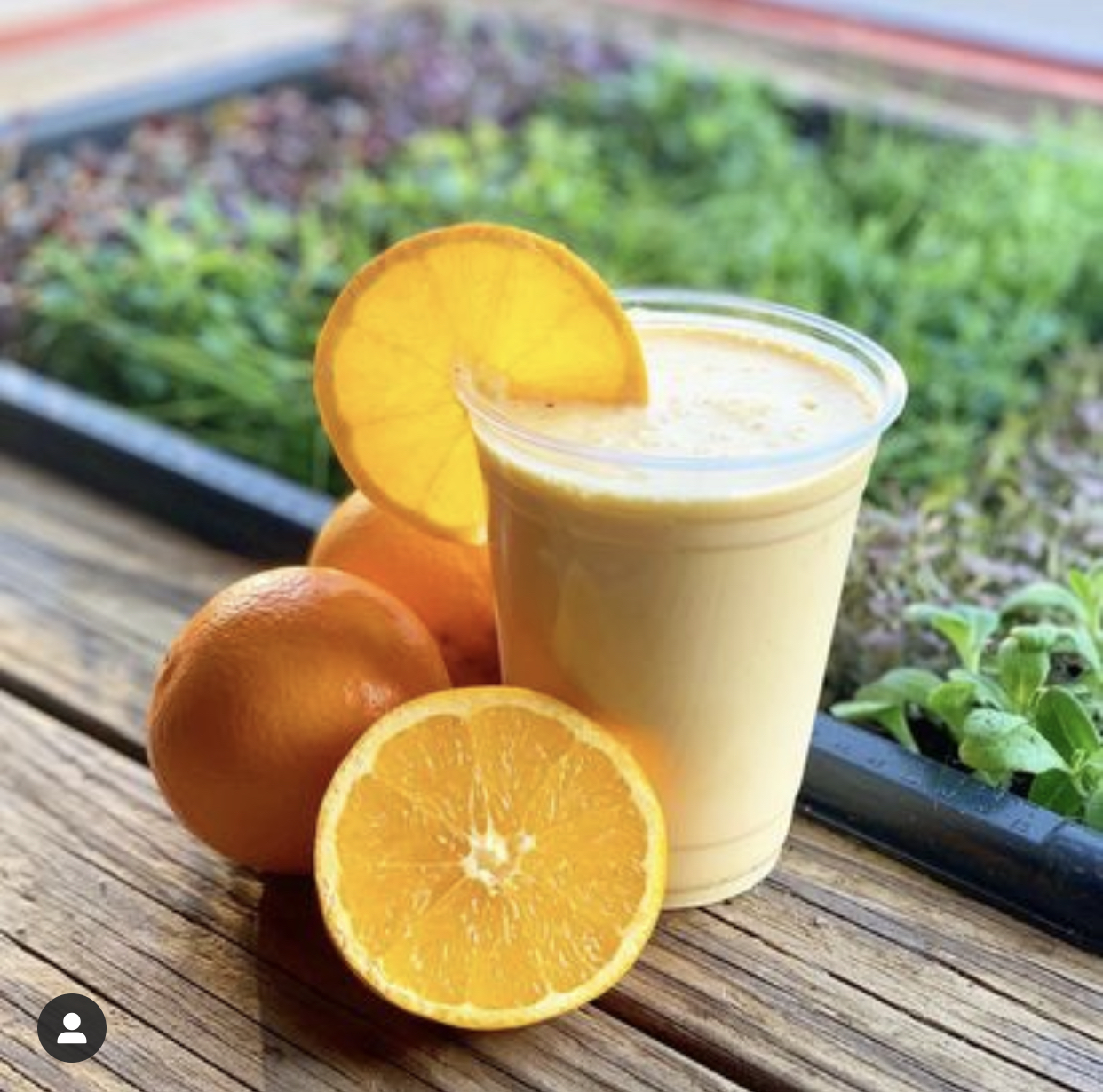 Order Orange Dream Smoothie food online from Toss’D store, Red Bank on bringmethat.com