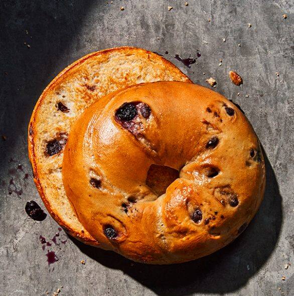 Order Blueberry Bagel food online from Panera store, Fort Mill on bringmethat.com