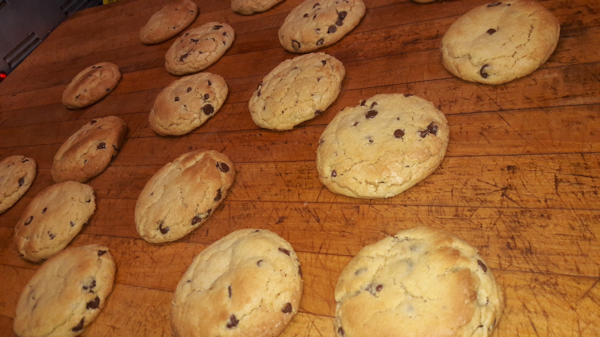Order Homemade Chocolate Chip Cookie food online from Mojo Pizza and Pub store, Decatur on bringmethat.com