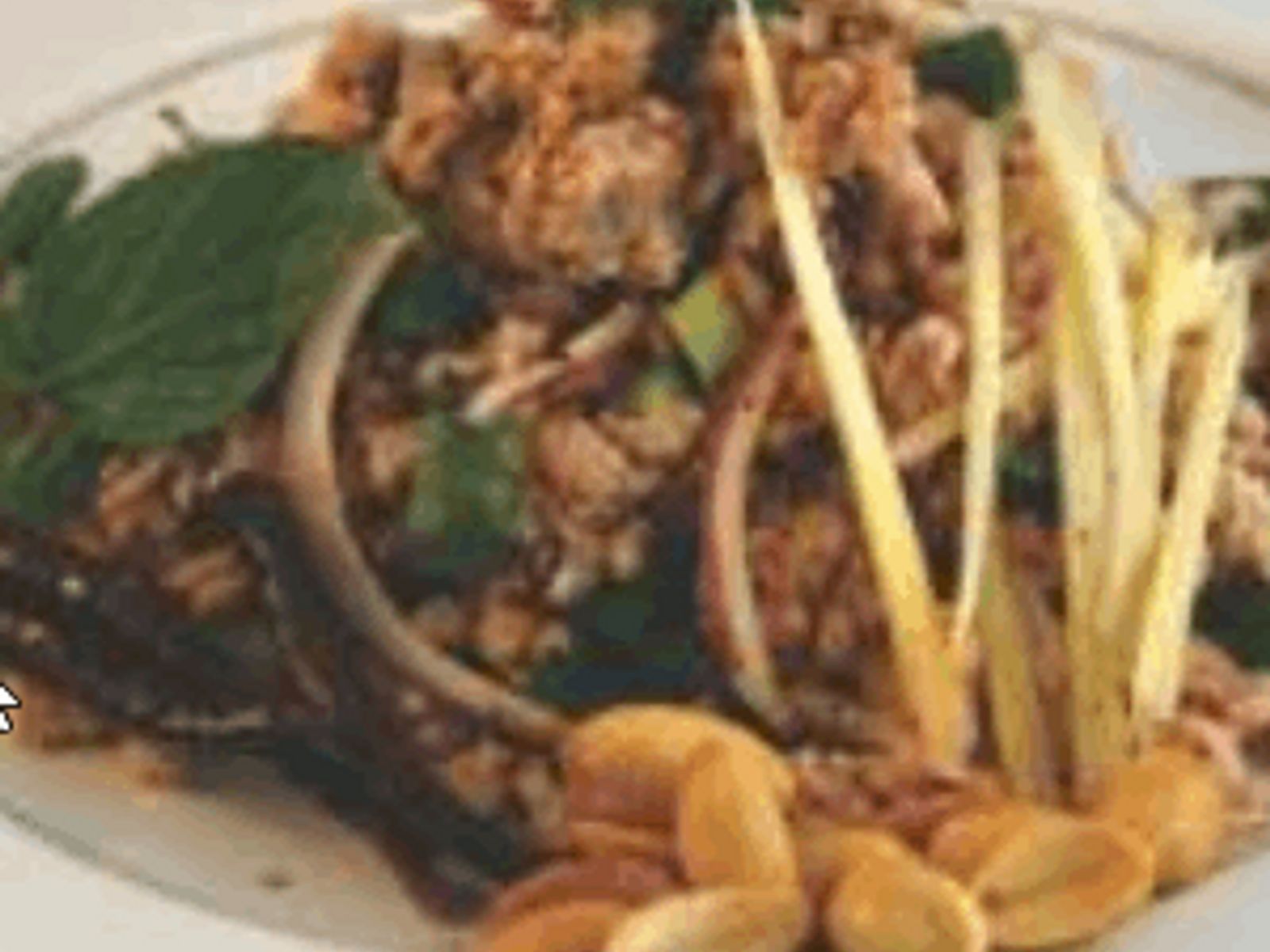 Order Y8 Nam Sod food online from Thai Spice Restaurant store, Houston on bringmethat.com
