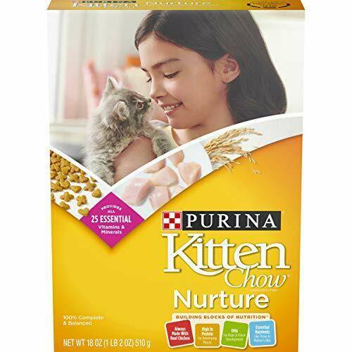 Order Purina Dry Chewy Kitten Cat Food food online from Deerings Market store, Traverse City on bringmethat.com