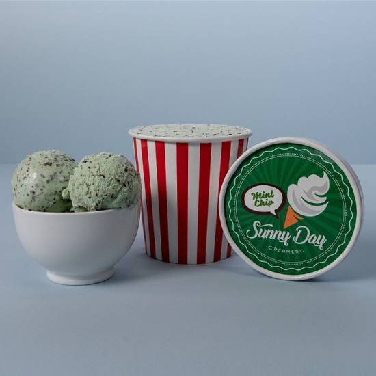 Order Mint Chocolate Chip Ice Cream (Pint) food online from Brooklyn Finest Pizza store, Oakland on bringmethat.com