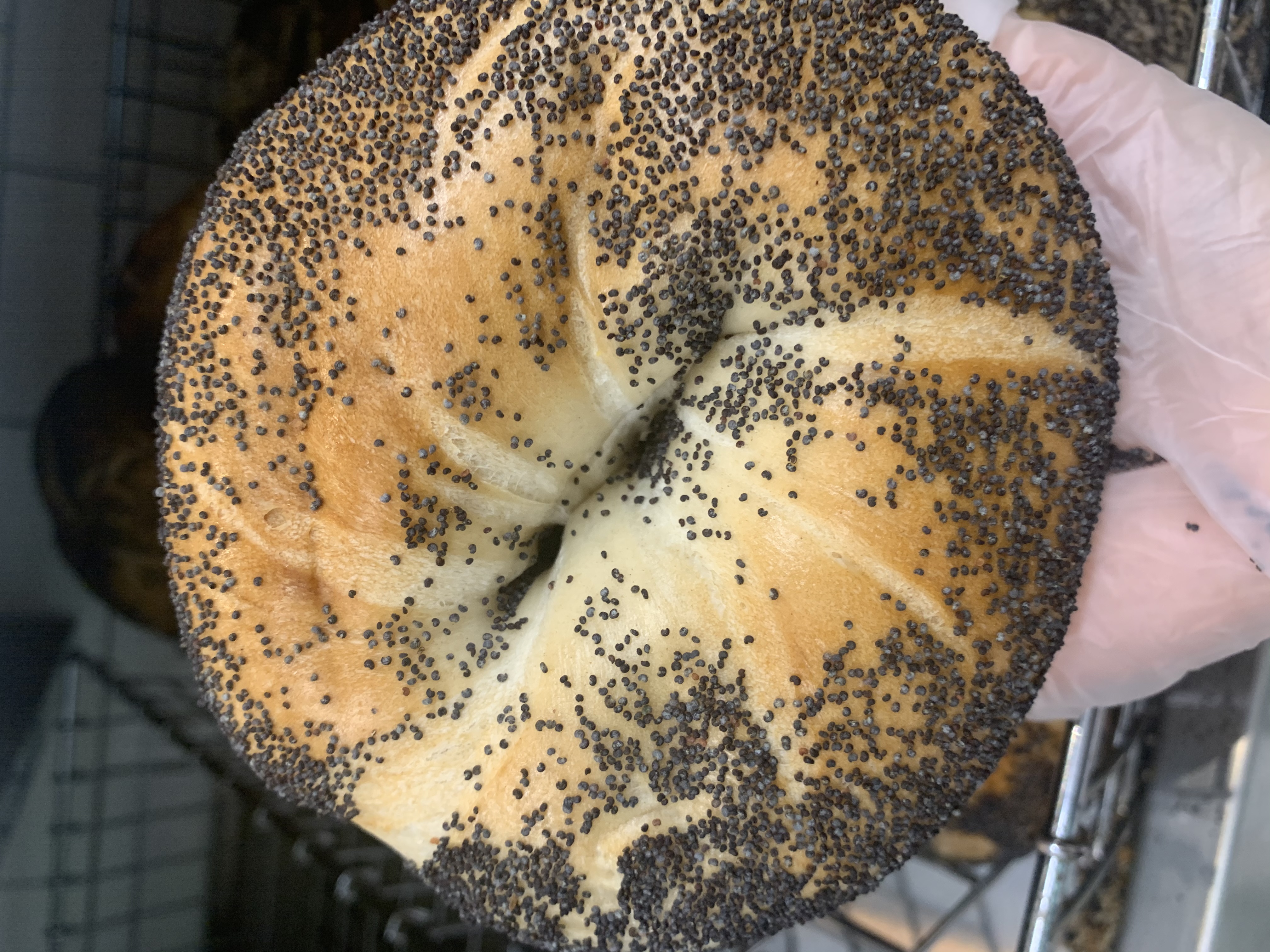 Order Poppy Bagel food online from Liberty Bagels store, New York on bringmethat.com