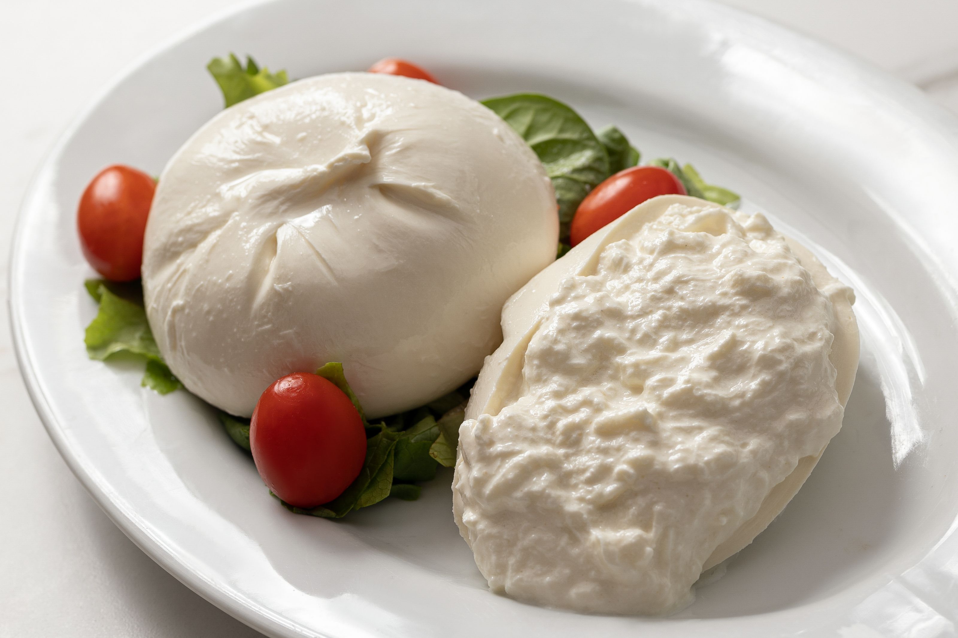 Order Side Of Homemade Burrata food online from Mike's Deli store, Bronx on bringmethat.com
