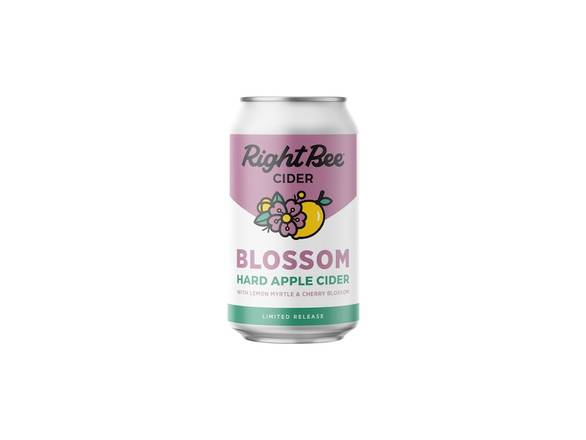 Order Right Bee Blossom Cider - 6x 12oz Cans food online from Garfield's Beverage Warehouse store, Chicago on bringmethat.com