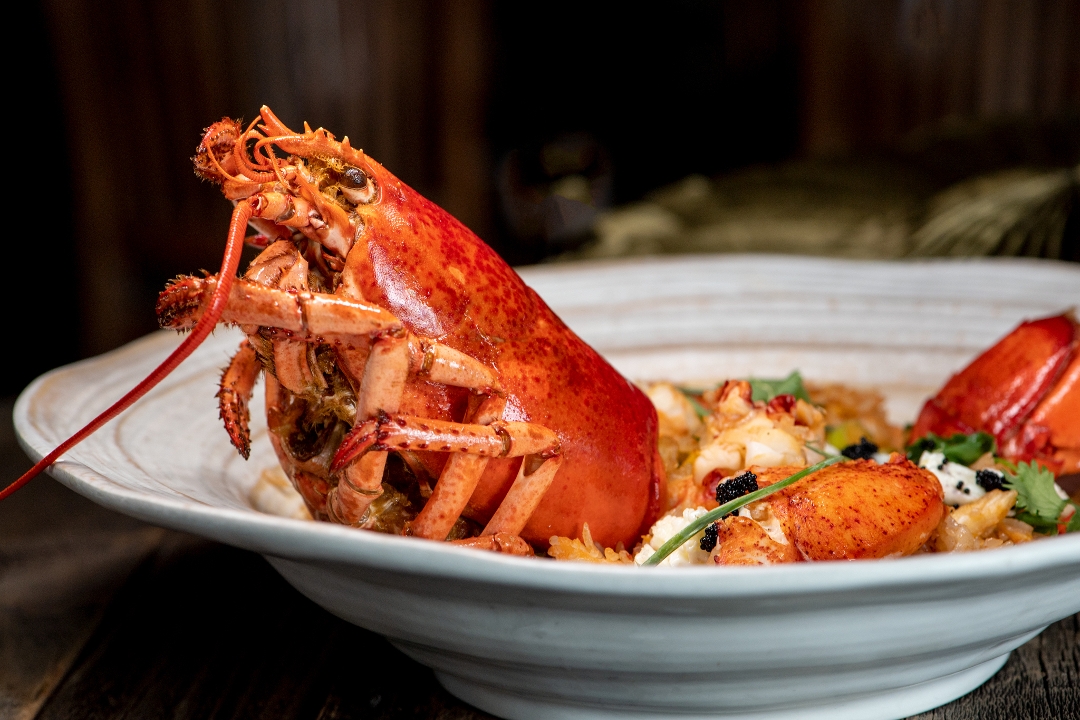 Order LOBSTER DISH food online from District One Kitchen & Bar store, Las Vegas on bringmethat.com