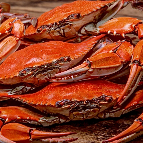 Order 1 lb. Blue Crab food online from Captain crawfish store, Humble on bringmethat.com