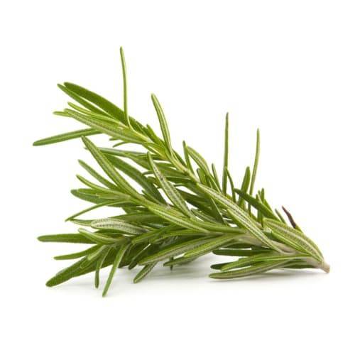 Order Rosemary (1 bunch) food online from Safeway store, Redding on bringmethat.com