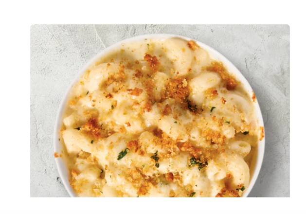 Order White Cheddar Mac & Cheese food online from Sbarro Coral Ridge 5288 store, Johnson County on bringmethat.com