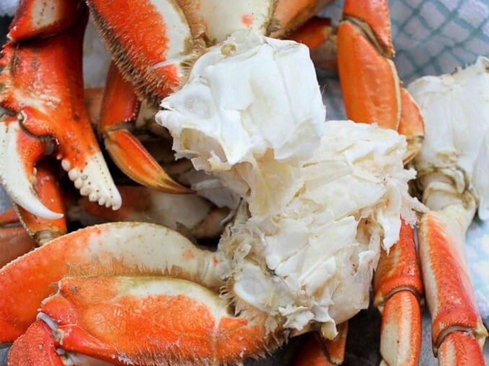 Order M11. Dungeness Crab food online from Juicy Seafood store, Clarksville on bringmethat.com