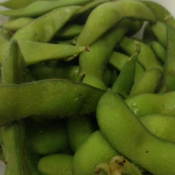 Order 1. Edamame food online from 8 Sushi store, Pacifica on bringmethat.com