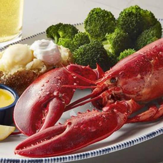 Order Live Maine Lobster (1.25 lb.) food online from Red Lobster store, Amherst on bringmethat.com