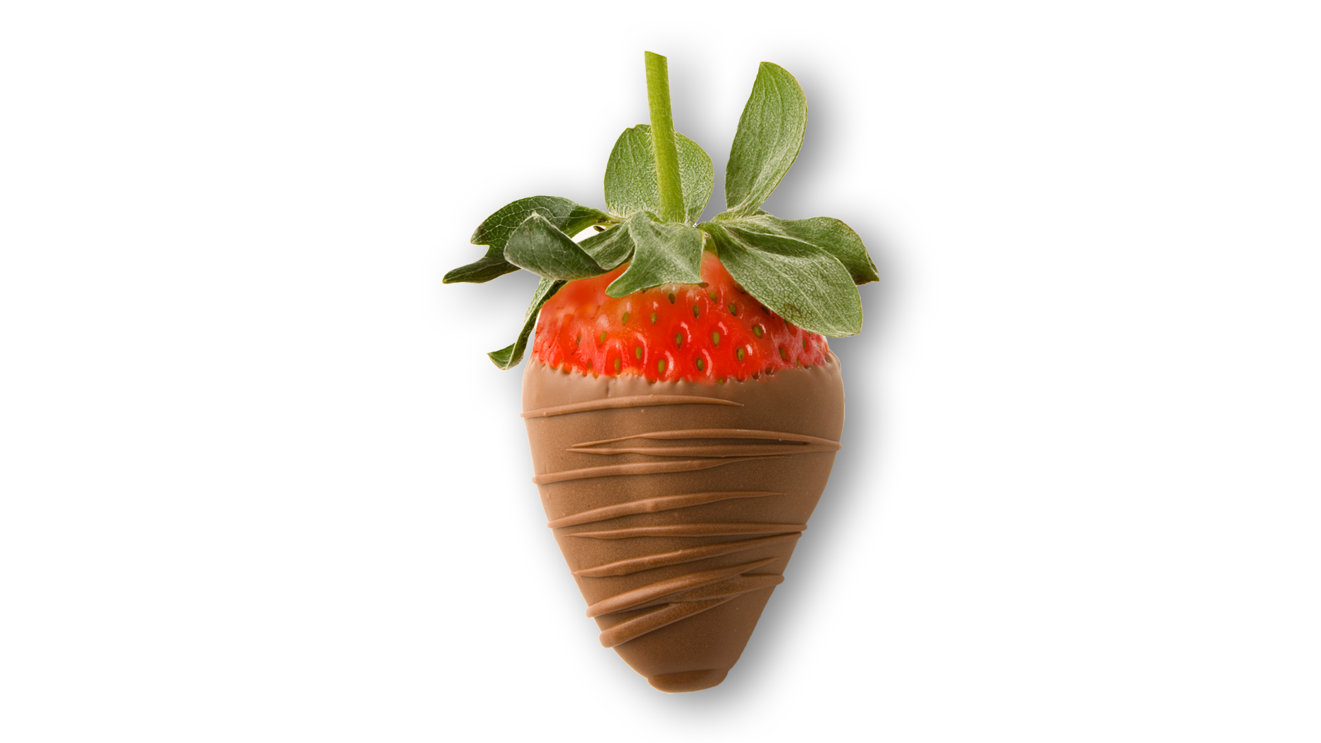 Order Fresh Dipped Strawberry food online from Rocky Mountain Chocolate Factory store, Huntington Beach on bringmethat.com