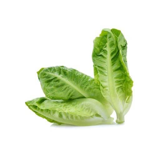 Order Lettuce Romaine Hearts (22 oz) food online from Winn-Dixie store, Quincy on bringmethat.com