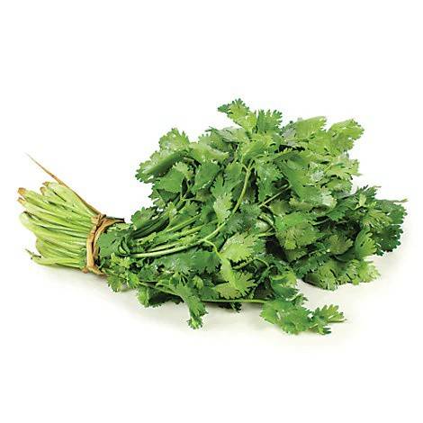 Order Cilantro (1 bunch) food online from Winn-Dixie store, Zachary on bringmethat.com