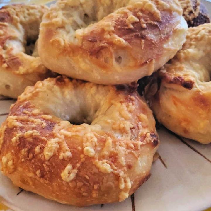 Order 1 Dozen of Gourmet Mixed food online from Bagel Place Cafe store, Sunnyvale on bringmethat.com