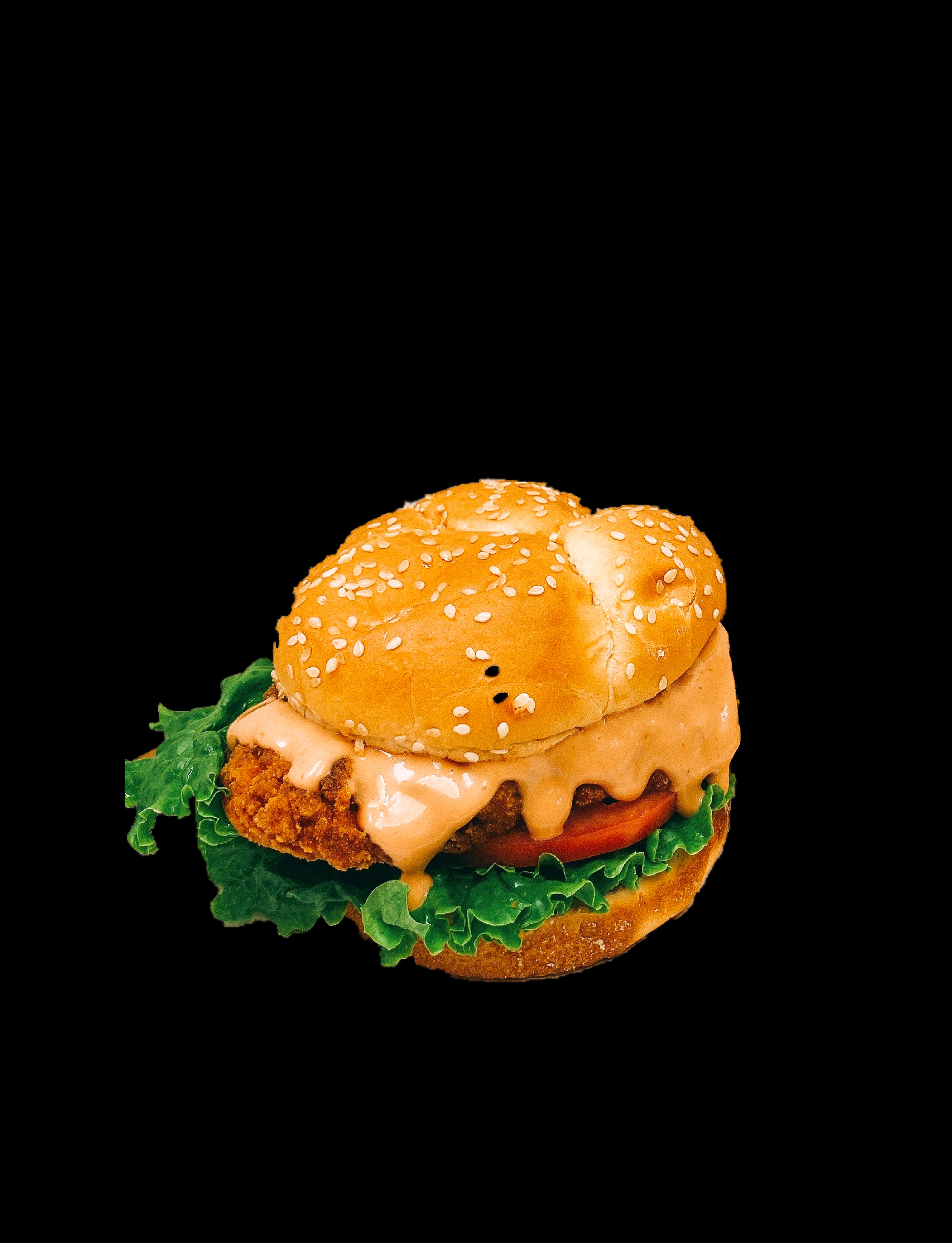 Order Spicy chicken food online from Burger Class store, Manchester on bringmethat.com