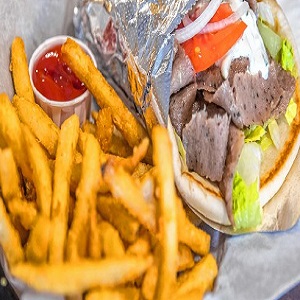 Order Gyro Sandwich Combo with Fries food online from Mid-East Cafe And Restaurant Llc store, Akron on bringmethat.com