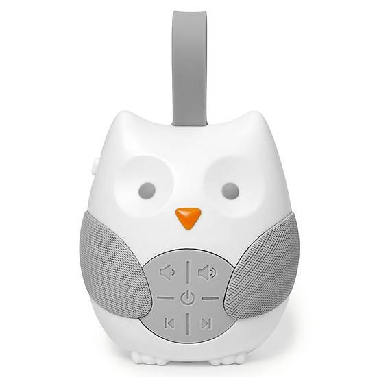 Order SKIP*HOP® Stroll & Go Portable Owl Baby Soother food online from Bed Bath & Beyond store, Lancaster on bringmethat.com