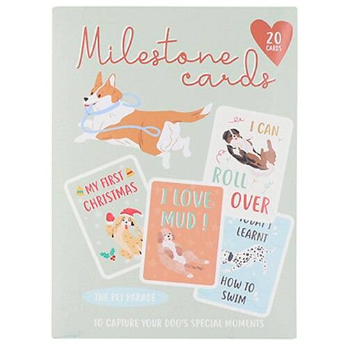 Order Modern Expressions Pet Milestone Cards - 1.0 ea food online from Walgreens store, Green Cove Springs on bringmethat.com