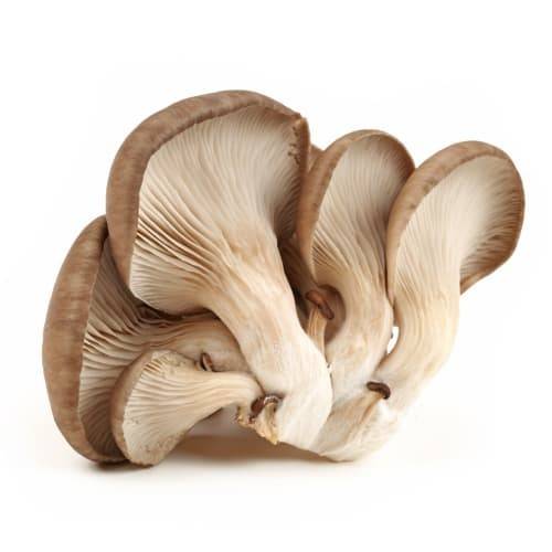 Order Oyster Mushrooms (3.5 oz) food online from Safeway store, Redding on bringmethat.com