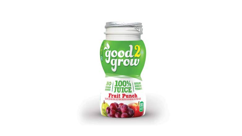Order Good 2 Grow Fruit Punch Juice food online from Red Roof Market store, Lafollette on bringmethat.com