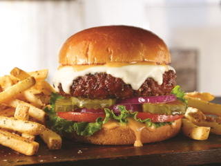 Order Cheese Burger food online from New York Pizza & Family Restaurant store, Tannersville on bringmethat.com