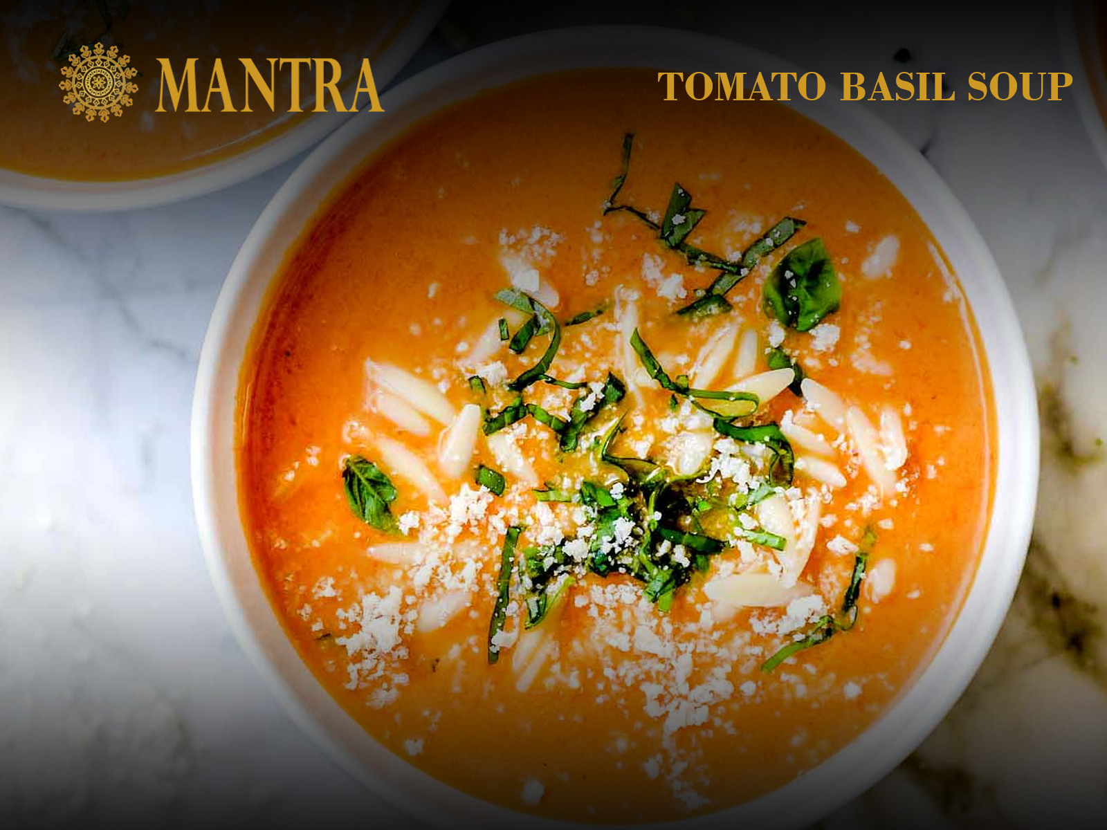 Order Tomato Basil Soup food online from Mantra Authentic Indian Restaurant store, Jersey City on bringmethat.com