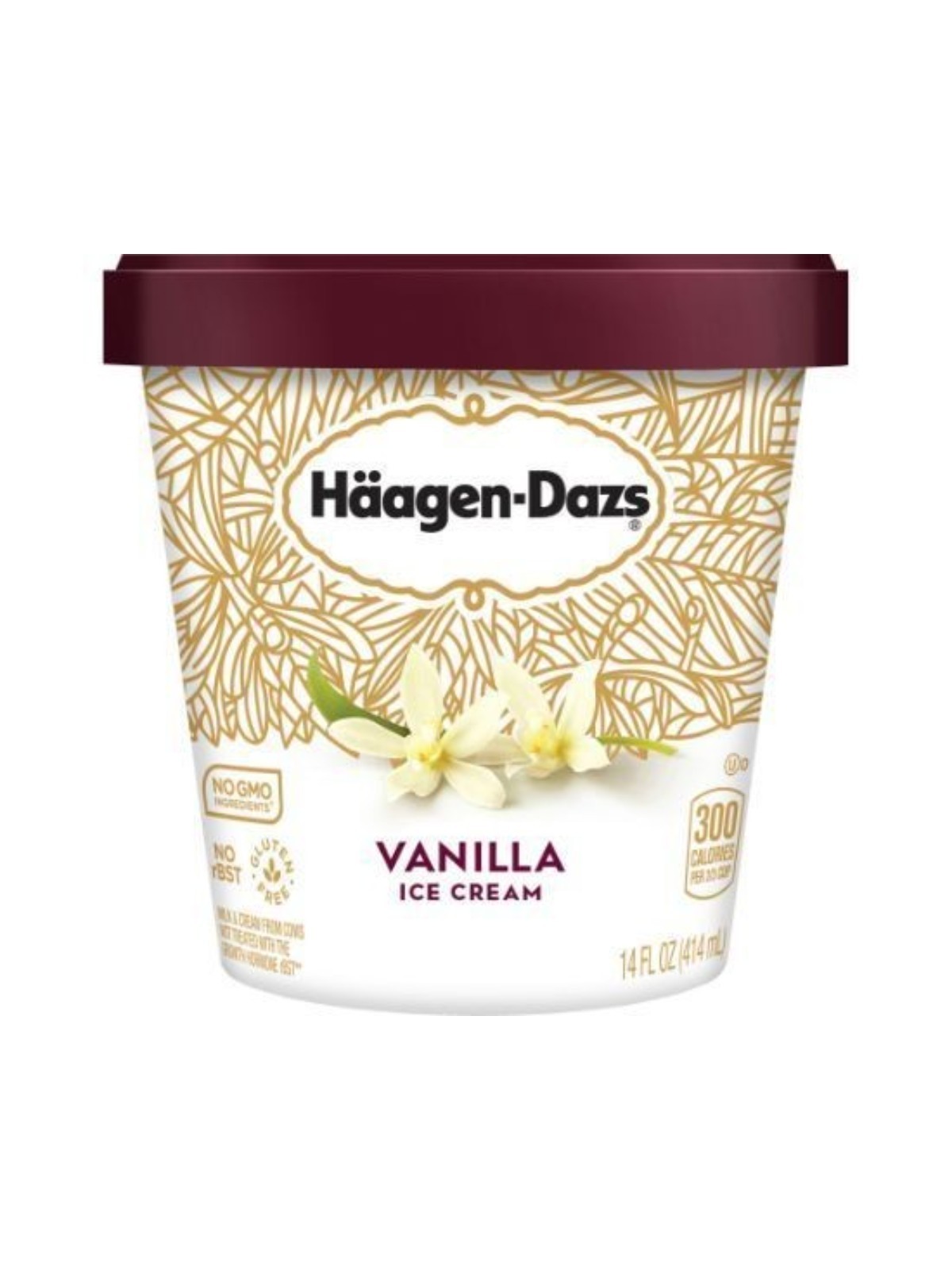 Order Haagen Dazs Vanilla Ice Cream (14 oz) food online from Neighborhood Scoops store, Marietta on bringmethat.com