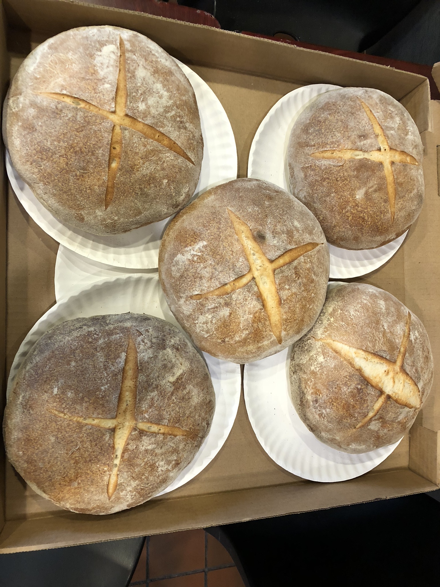 Order Italian bread  12 in diameter  food online from Wolf Street Pizza store, Philadelphia on bringmethat.com